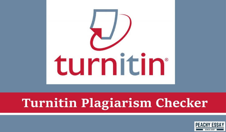 Plagiarism Turnitin Report